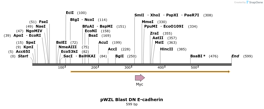 24688_map