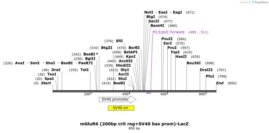 24693_map
