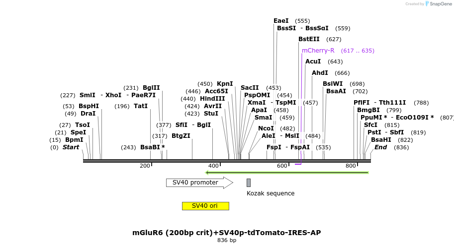 24697_map