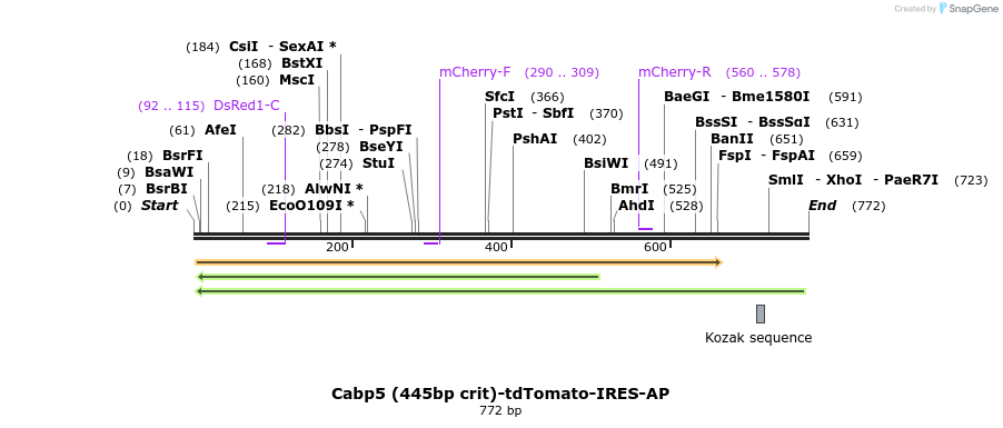 24699_map