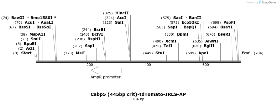 24700_map