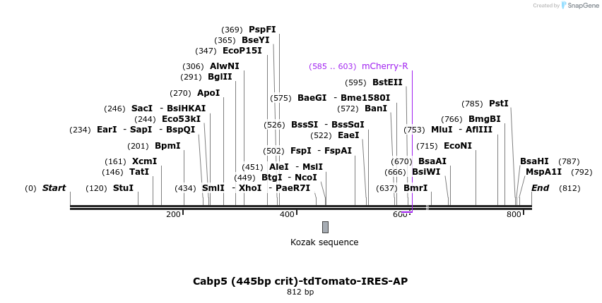 24701_map