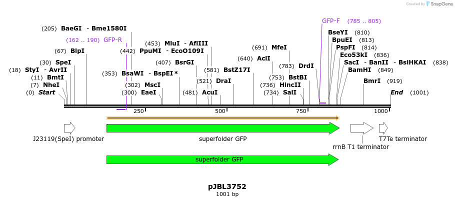 247014_map