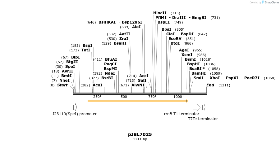247016_map