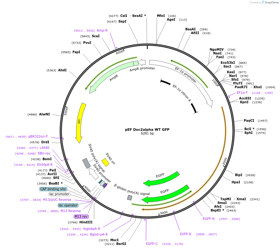 247029_map