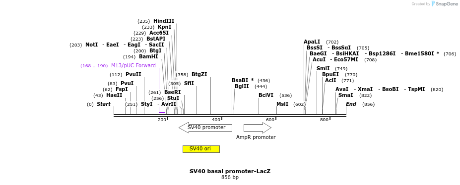 24706_map