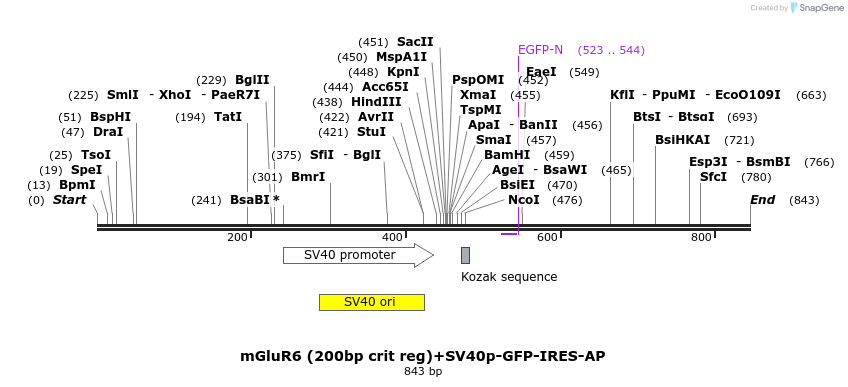24707_map