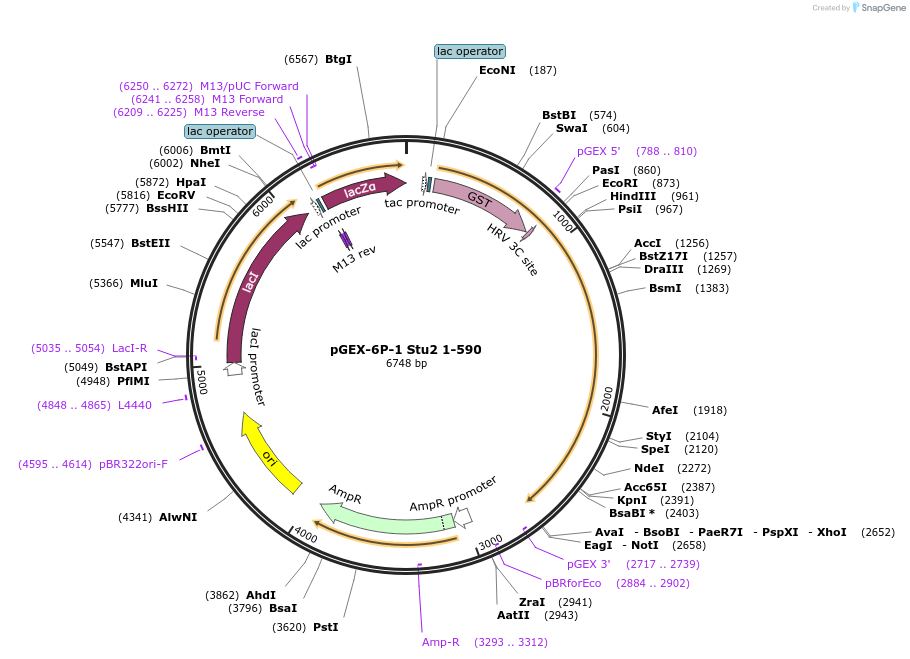 247073_map