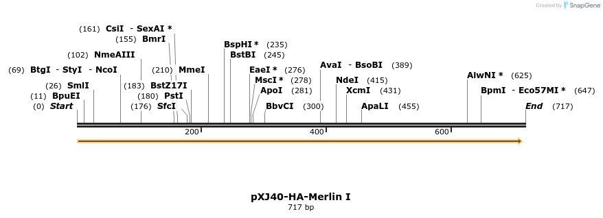 24708_map