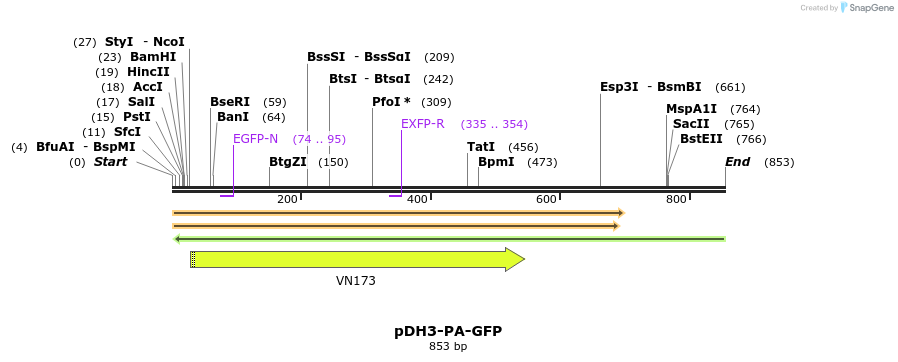 24709_map