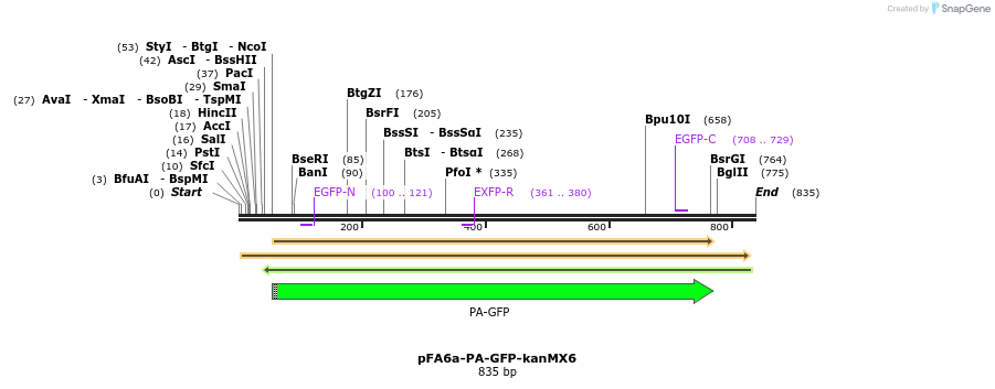 24711_map