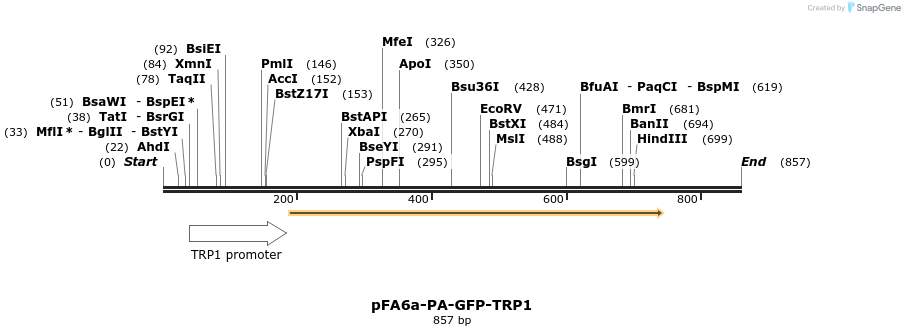 24712_map