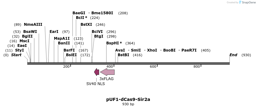 247128_map