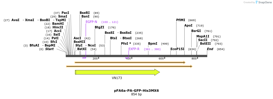 24713_map