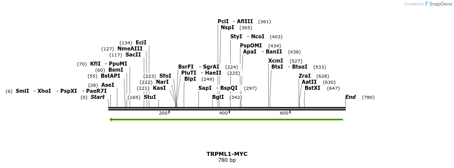 24714_map