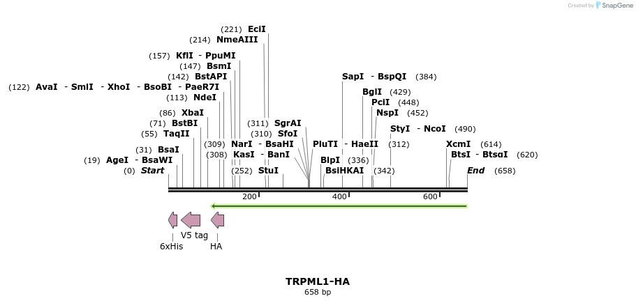24715_map