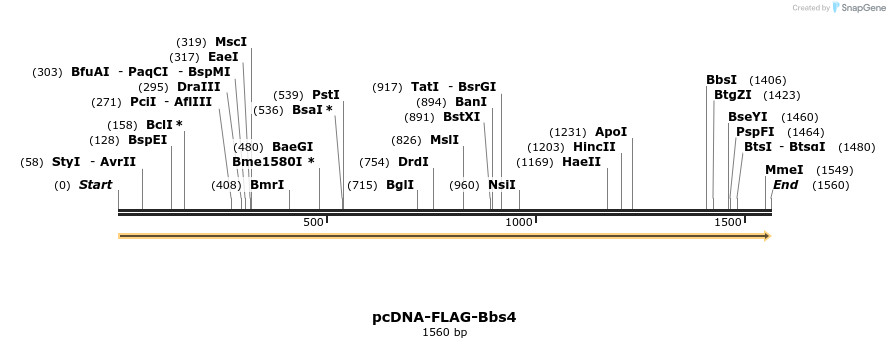 247158_map