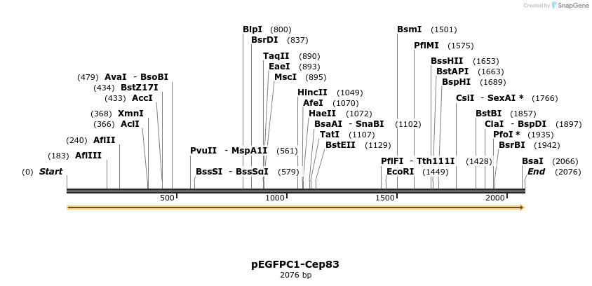 247164_map