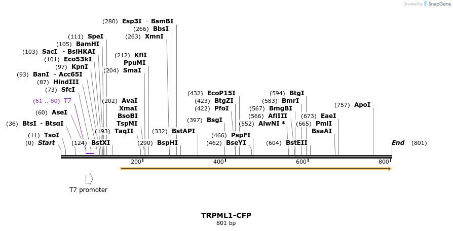 24717_map