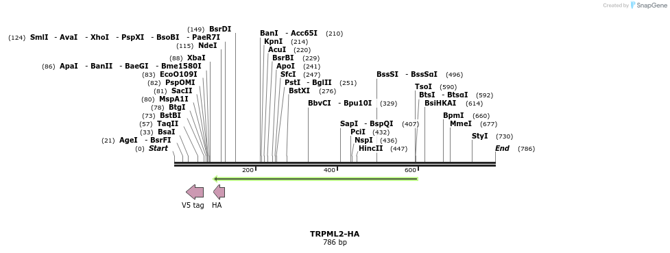 24718_map