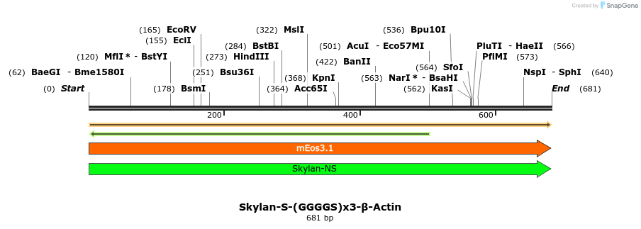 247201_map