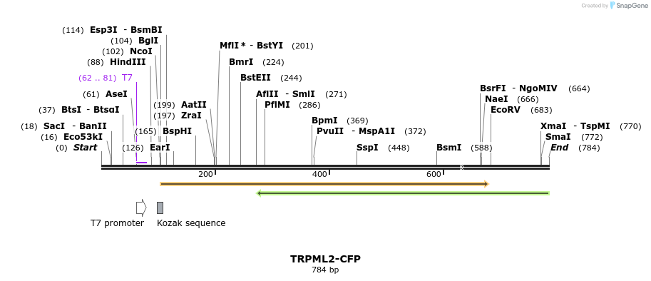 24721_map
