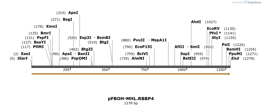 247218_map