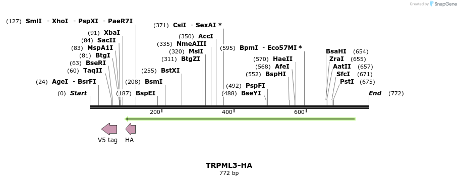 24722_map
