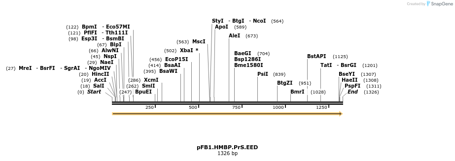 247220_map