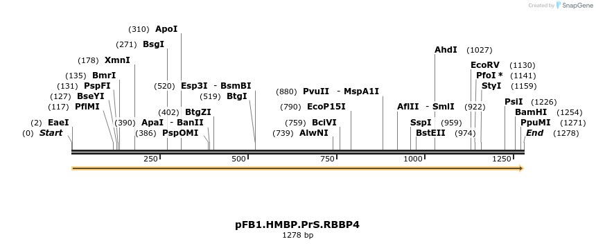 247222_map
