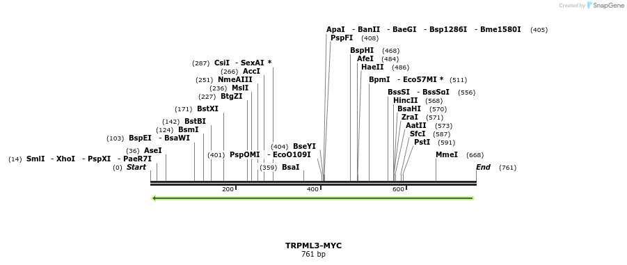 24723_map