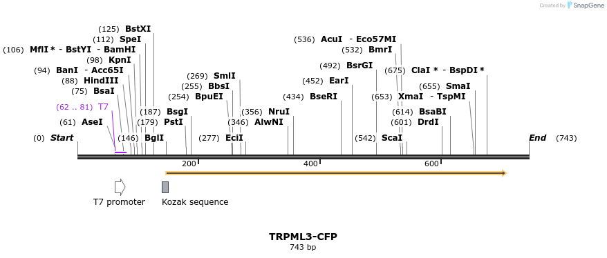 24724_map