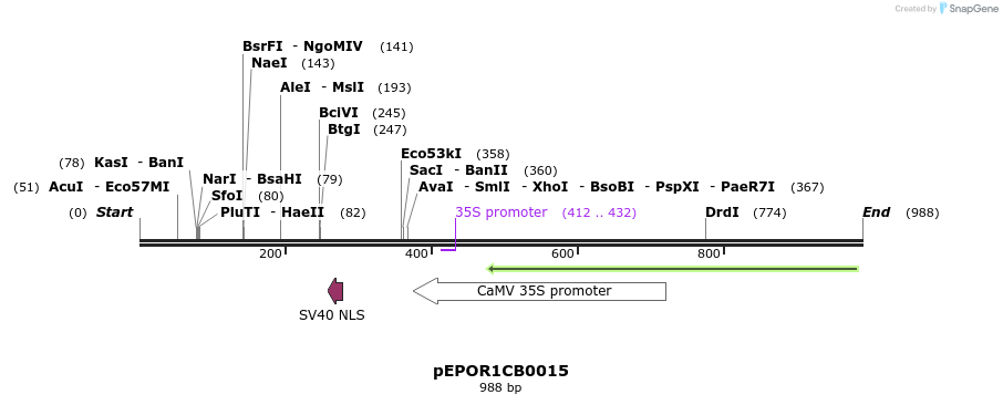 247302_map