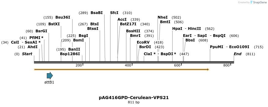 24732_map