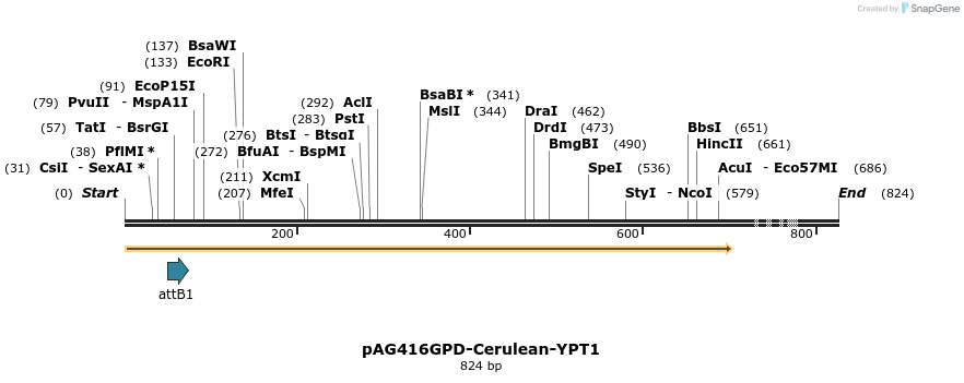 24738_map