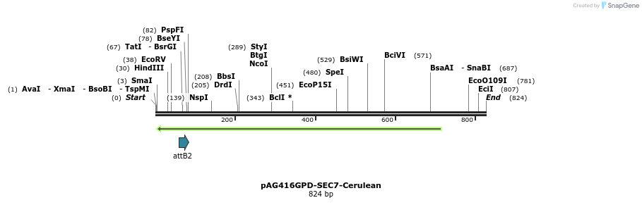 24741_map