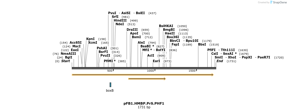 247414_map