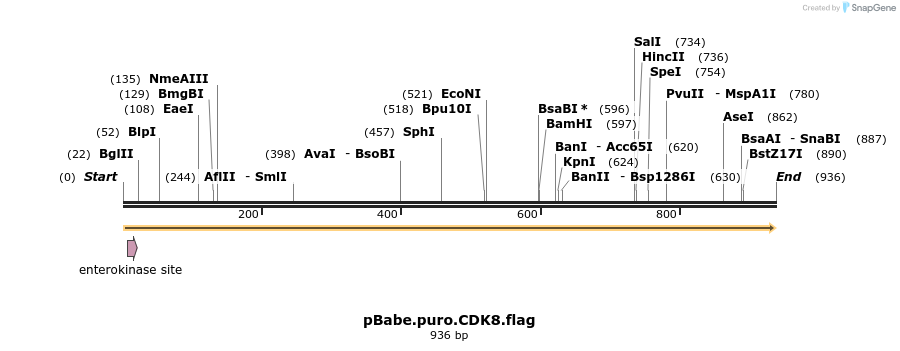 24742_map