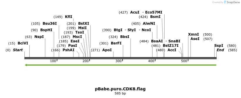 24743_map
