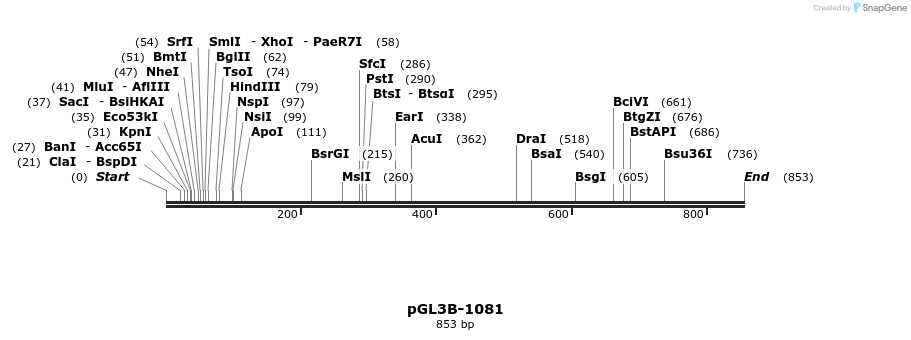 24745_map