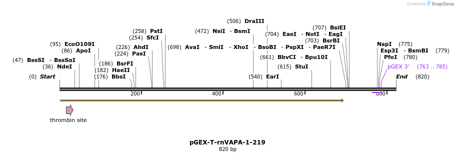 24747_map