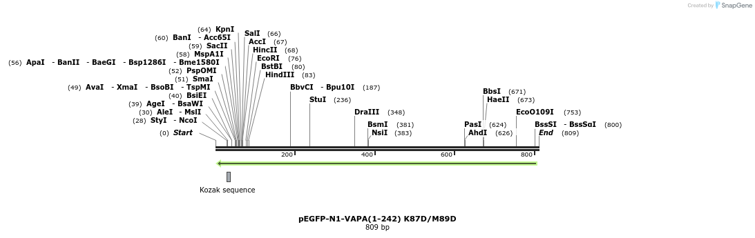 24750_map