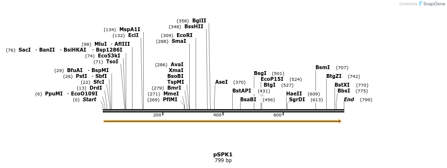 24751_map