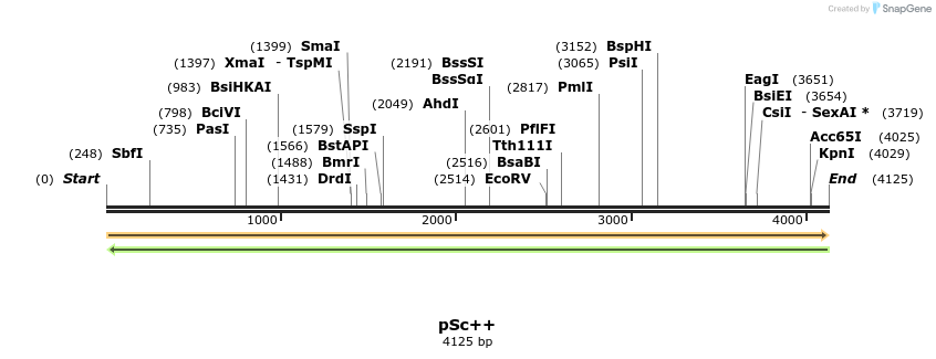 247522_map