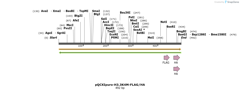247529_map