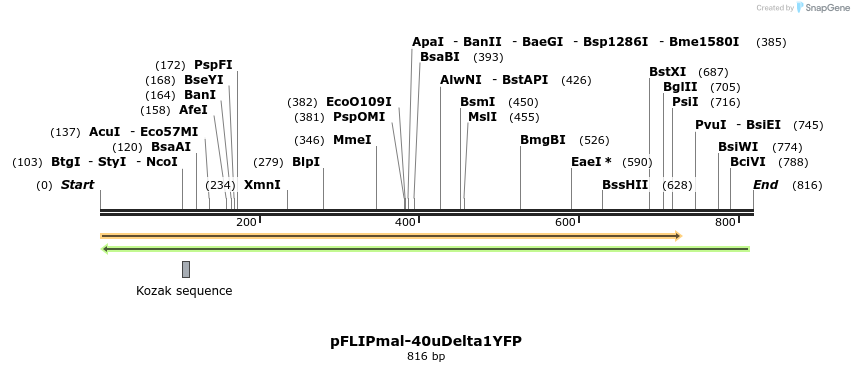 24753_map