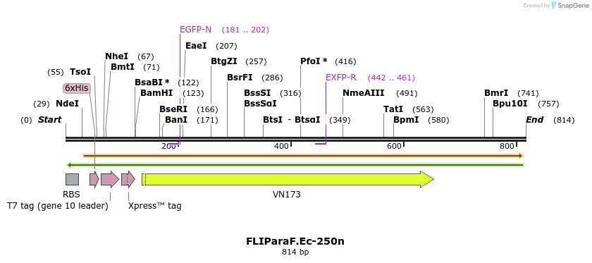 24755_map