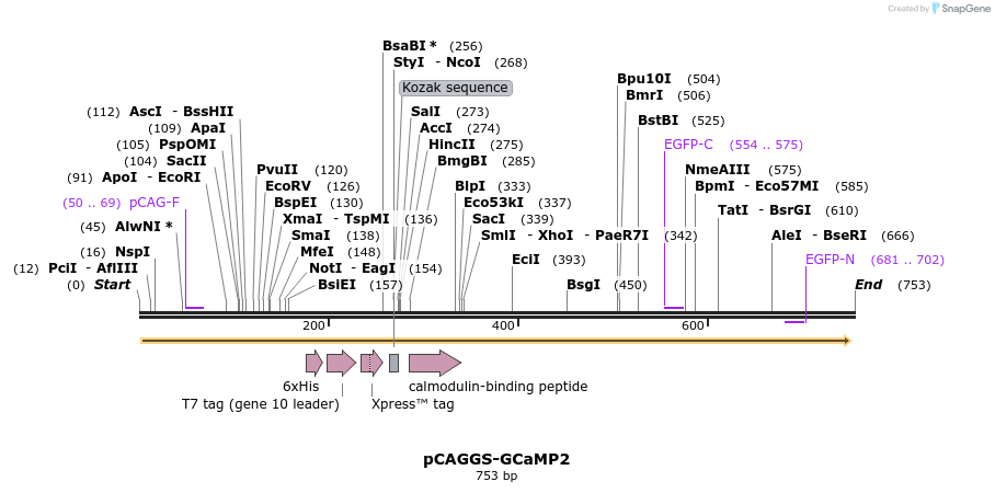 24758_map