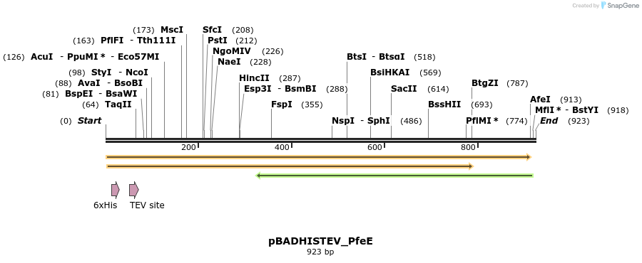 247586_map
