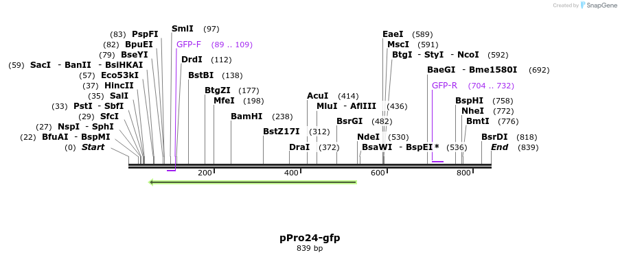 24759_map